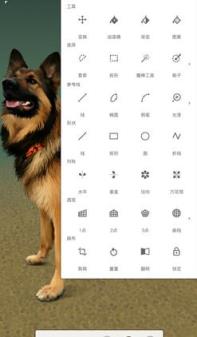 无限绘画中文破解版