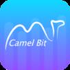 骆驼比特