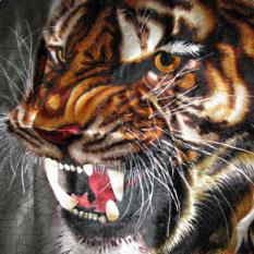 猛虎3.0授权码生成器