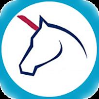 五马搜索app手机版