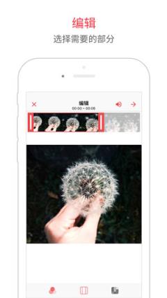 intoLive安卓手机