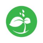 苗苗教育学生版