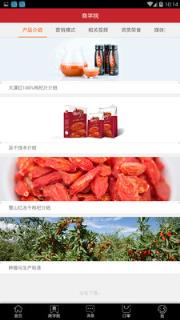 大漠红枸杞商城