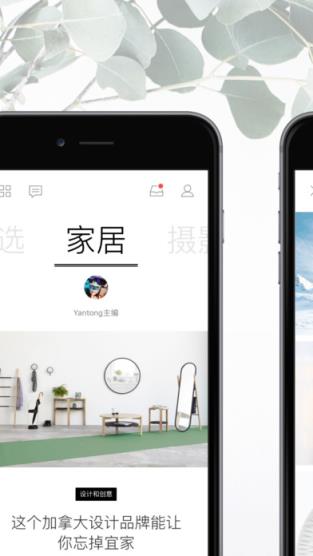 轻芒杂志安卓版