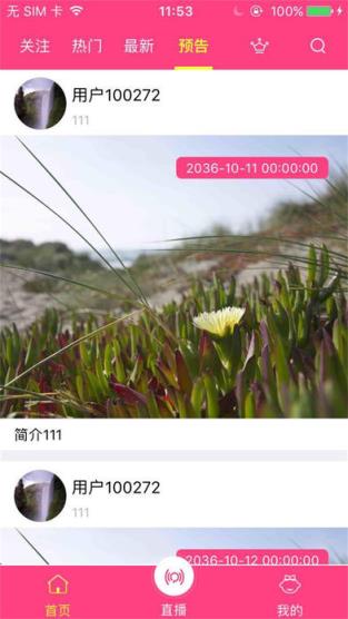 鲤鱼直播安卓版app
