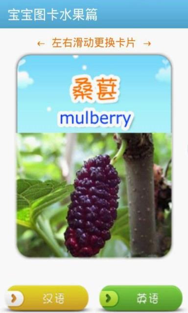 宝宝图卡水果篇