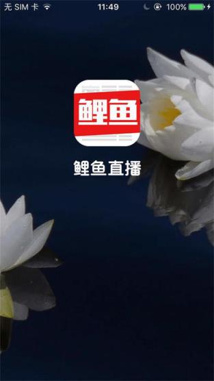 鲤鱼直播安卓版app
