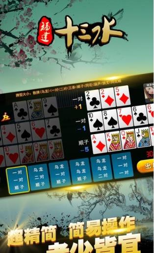 福建十三水手机作弊器