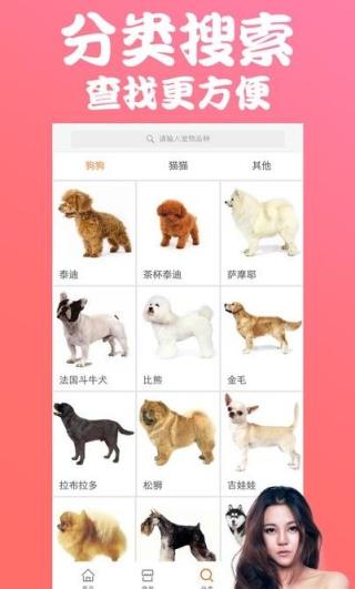 有它网手机客户端