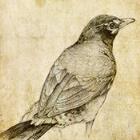 素描大师(天天美颜)官方