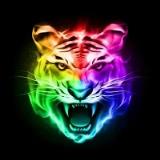 安卓猛虎红包挂破解版