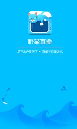 野猫直播最新版app
