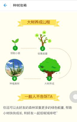 蚂蚁森林自动收能量软件