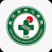 武汉中心医院