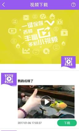 魅力小视频app