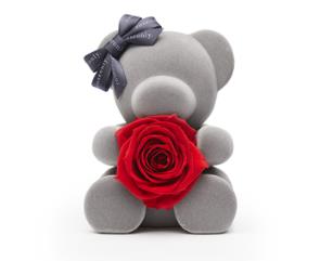 情人节玫瑰花订花送花软件