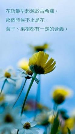 情人节花语词典app