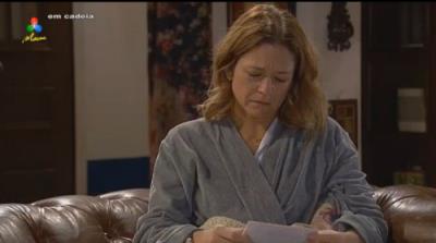 流星网络电视手机版