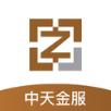 中天金服