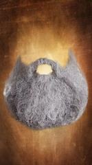 胡子照片蒙太奇