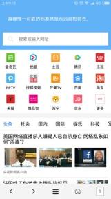 VIP浏览器最新版