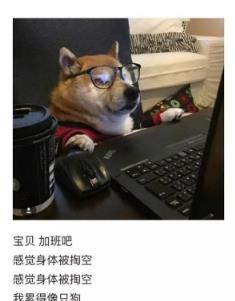 微信把我唱给你听生成器安卓版