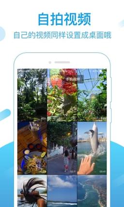 梦露视频桌面安卓版