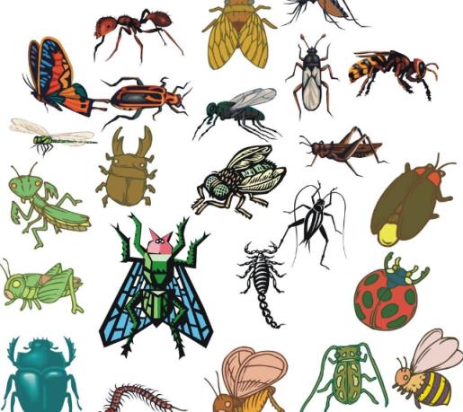 拍照识别昆虫app