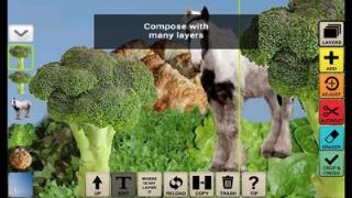 蒙太奇图片编辑