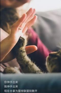 把我唱给你听小程序