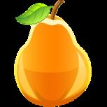 雪梨网app转发文章