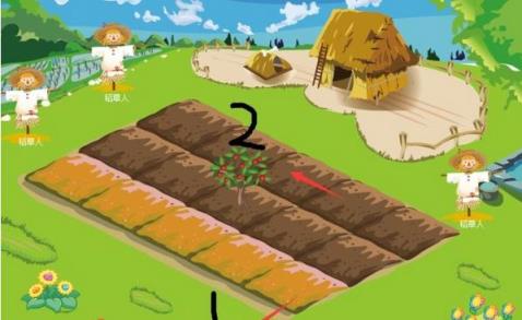 享映乐园免注册版