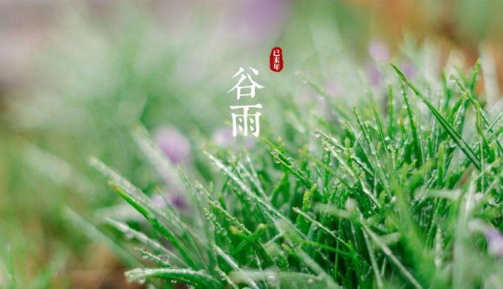 二十四节气之谷雨农业谚语合集