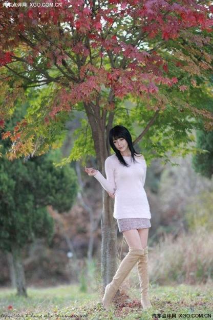 3D月下美人梦象动态壁纸在线手机