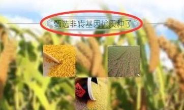 璞谷塘商城网站app