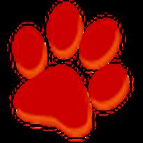 7dmdy去大猫电影网手机官方版