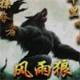 风雨狼红包挂破解版