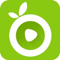 荔枝TV会员账号共享版