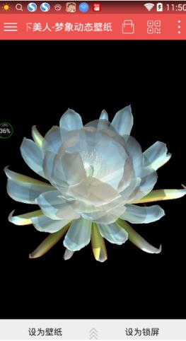 3D月下美人梦象动态壁纸在线下载