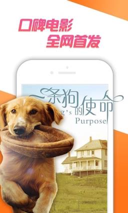 搞搞电影网清爽版安装