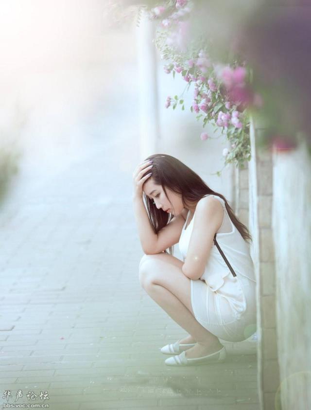 3D月下美人梦象动态壁纸在线下载