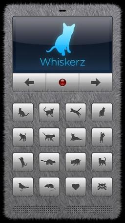 人猫交流器最新版app