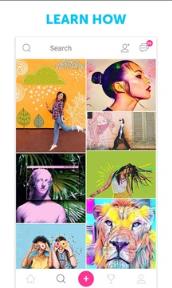 Algoritmia安卓版app