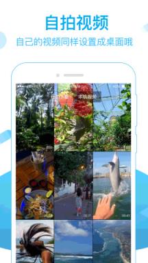 火萤视频桌面官方app