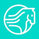 ponycar马上用车安卓版