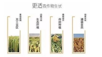 璞谷塘商城网站app