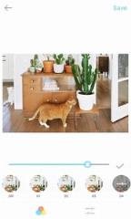 滤镜特效相机app