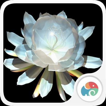 3D月下美人梦象动态壁纸在线手机