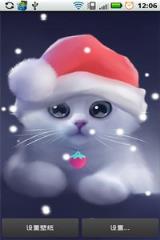 可爱猫咪动态主题