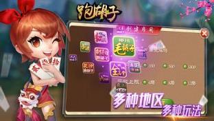 闲来湖南跑胡子作弊器下载